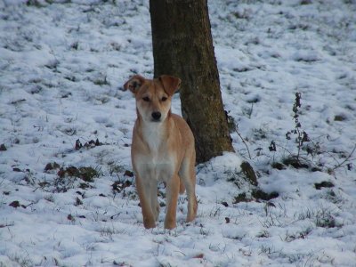Sheela wohnt in der Steiermark