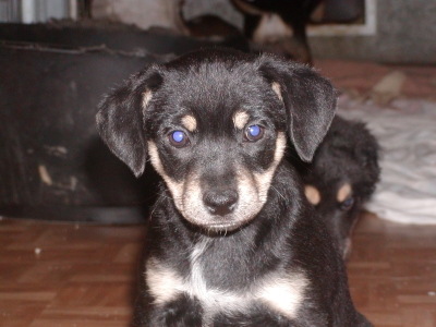 Darlyn wohnt in der Steiermark