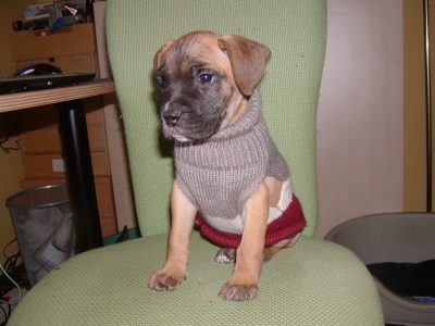 Spike wohnt in der Steiermark