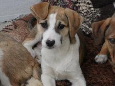 Denise wohnt in der Steiermark