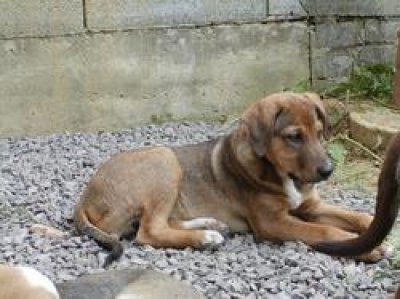 Derrick heisst Merlin und wohnt in Wien