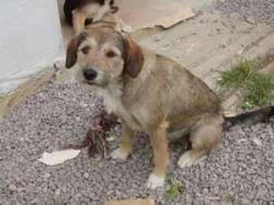 Dessa heisst Ella und wohnt in Kärnten