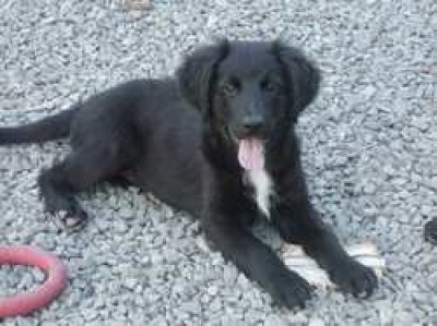 Edina heisst Tina und wohnt in der Steiermark