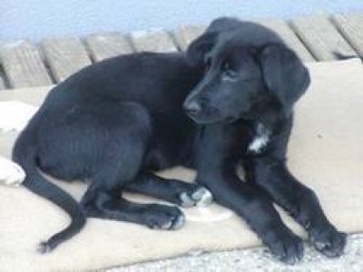 Elaine wohnt in der Steiermark