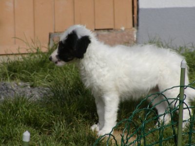 Elisha heisst Mia und wohnt in der Steiermark