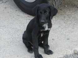 Ember heisst Anni und wohnt in der Steiermark