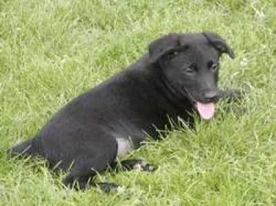 Emil heisst Emilio und wohnt in der Steiermark