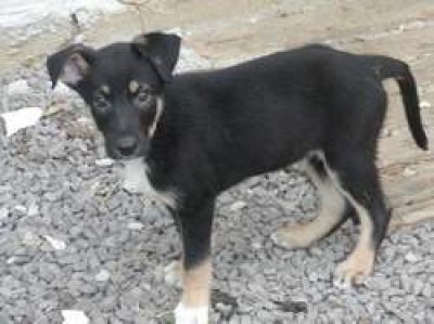 Enrico heisst Sanny und wohnt in der Steiermark