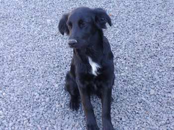 Enya heisst Elli und wohnt in der Steiermark