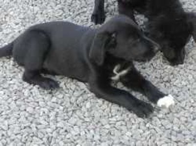 Eve heisst Suky und wohnt in Vorarlberg