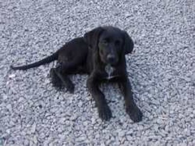 Evelin heisst Sina und wohnt in der Steiermark