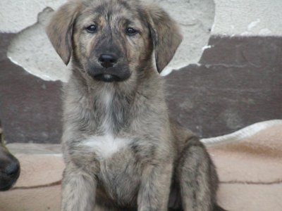 Faith heisst Fay und wohnt in der Steiermark