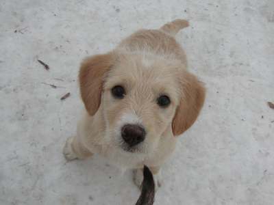 Irina heisst Tinka und wohnt in Wien