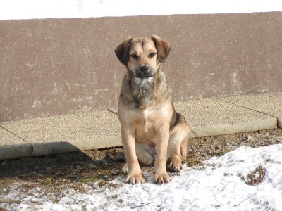 Lea wohnt in Niederoesterreich