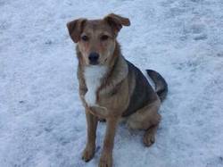 Olympia heisst Lylo und wohnt in der Steiermark