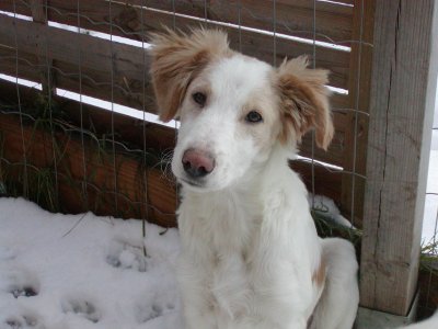 Samy-Lee wohnt in der Steiermark