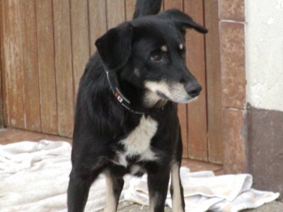 Nina wohnt in Niederösterreich