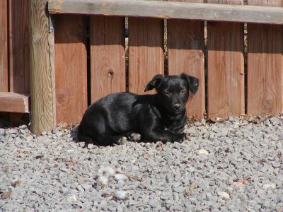 Kiki wohnt in der Steiermark