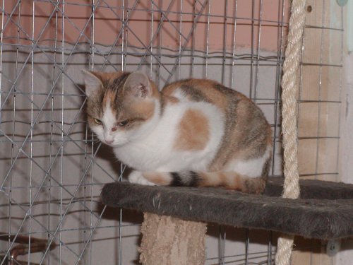 Glory heisst Luna und wohnt in der Steiermark