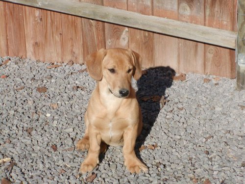 Inka wohnt in der Steiermark