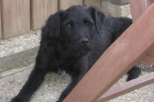 Leno wohnt in der Steiermark