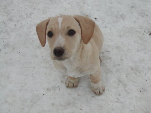 Ivana heisst Eve und wohnt in der Steiermark