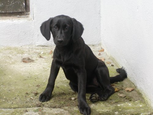 Maja wohnt in der Steiermark