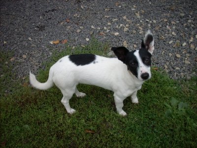 Mona wohnt in der Steiermark