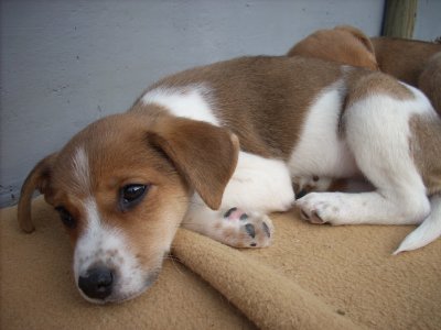 Tina heißt Kimmy und wohnt in Oberösterreich