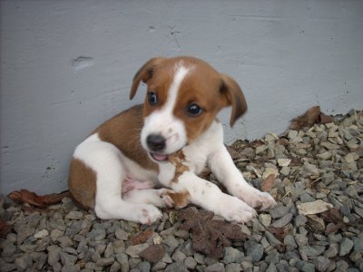 Tizian heisst Ray und wohnt in der Steiermark