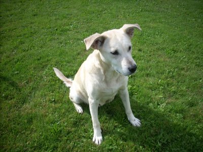 Clara wohnt in der Steiermark