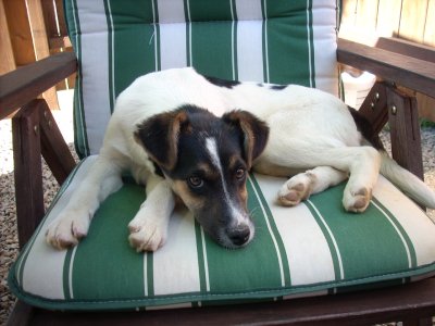 Cora heisst Finnie und wohnt in Wien