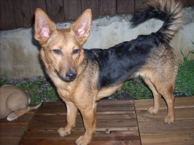 Lia wohnt in der Steiermark