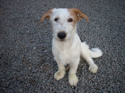 Lotti wohnt in Niederösterreich