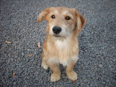 Lina wohnt in der Steiermark