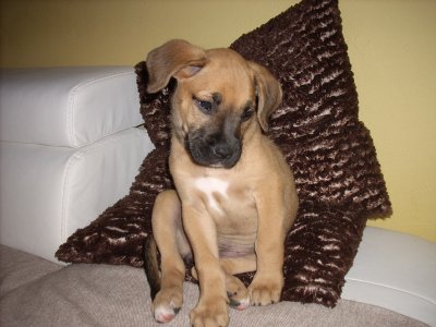 Lea wohnt in der Steiermark