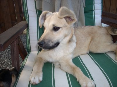 Lisa wohnt in der Steiermark