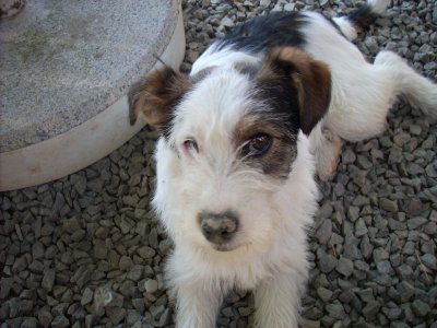 Neli wohnt in der Steiermark