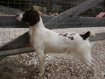 Jimmy wohnt in Niederösterreich