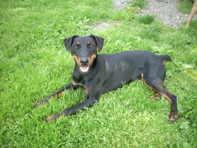 Lily wohnt in der Steiermark