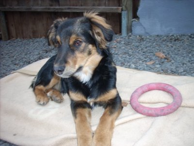 Timo heisst Ivo und wohnt in der Steiermark