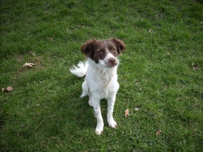 Fiona wohnt in der Steiermark