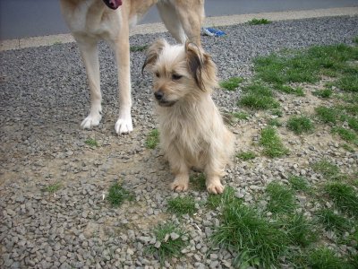 Linda wohnt in der Steiermark