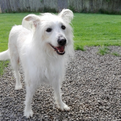 Ronja wohnt in Niederösterreich