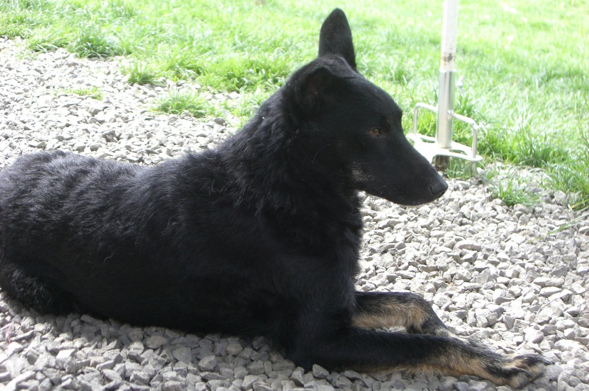 Elli wohnt in der Steiermark