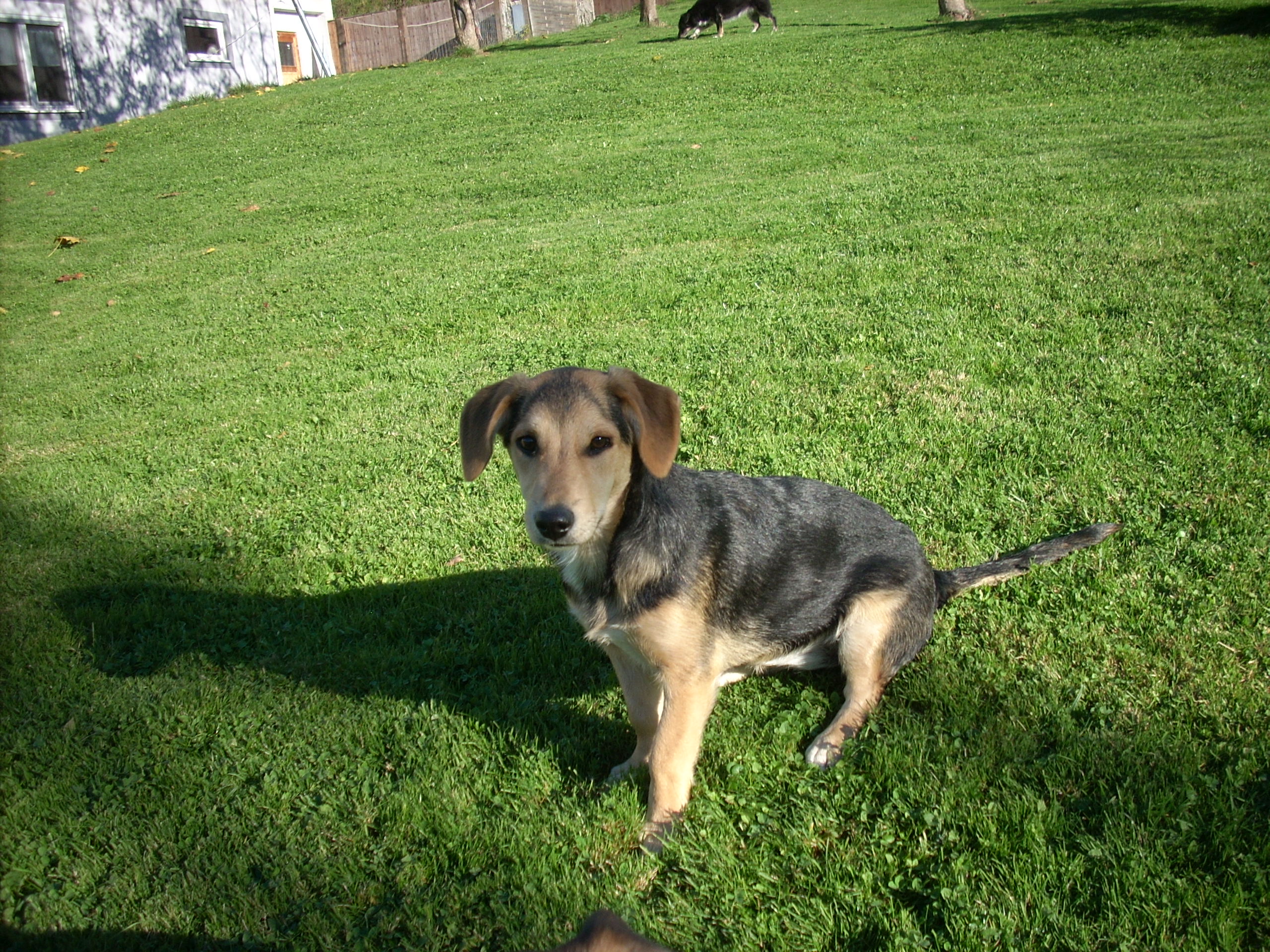 Bonnie wohnt in der Steiermark