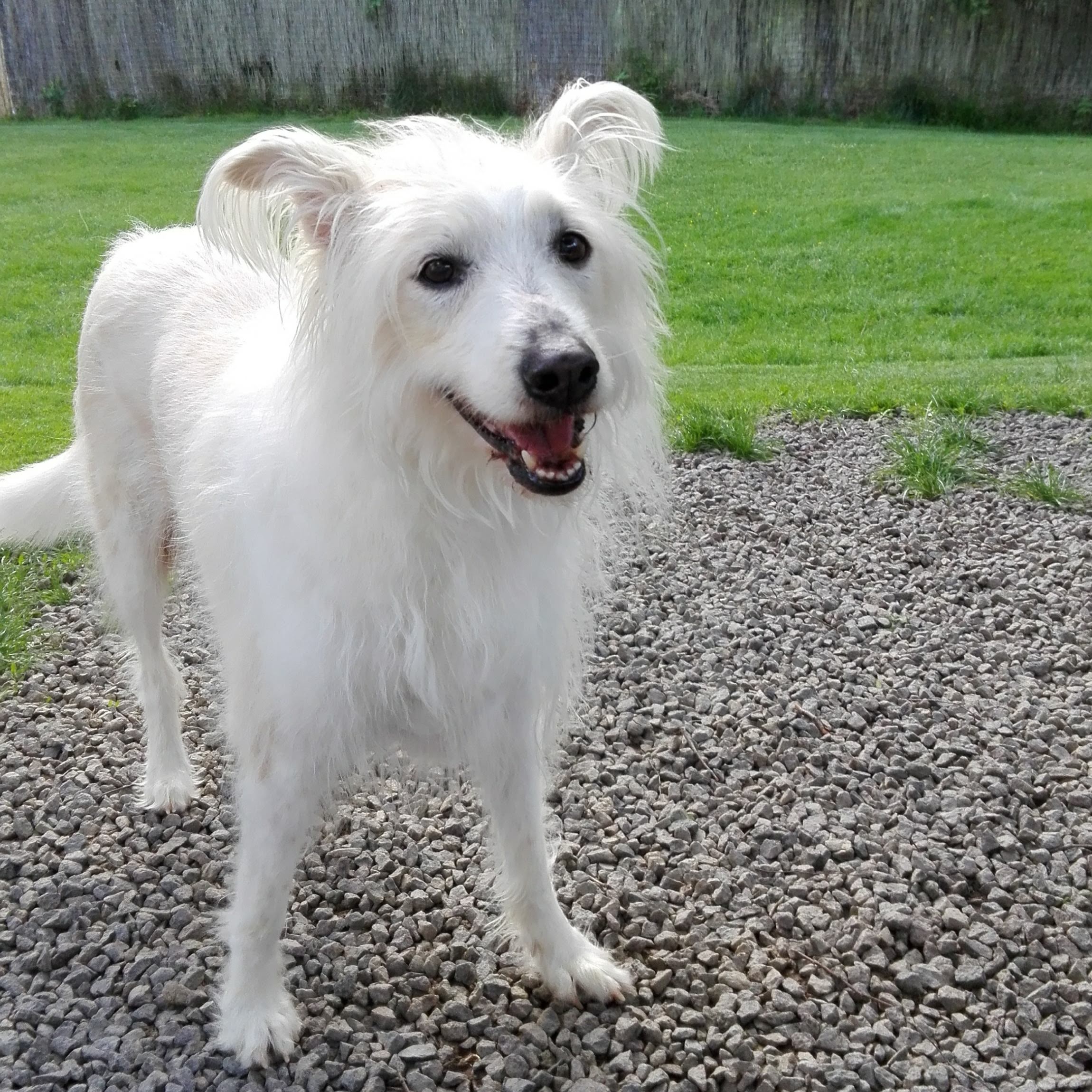 Ronja wohnt in Niederösterreich