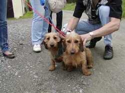 Die Geschwister Julia und Emil