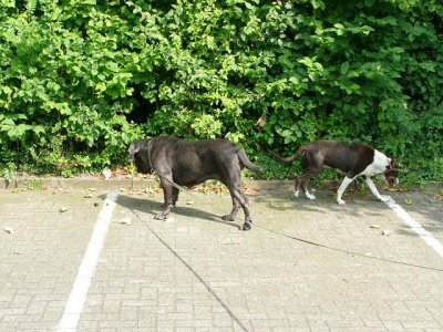 Lena im neuen Zuhause