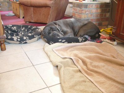 Lena im neuen Zuhause